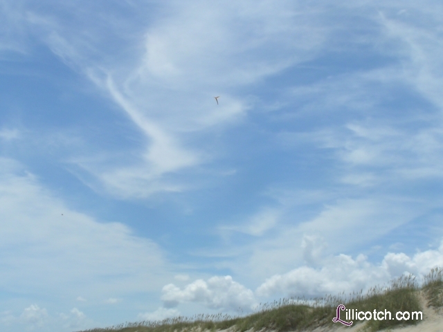 Hatteras Kite