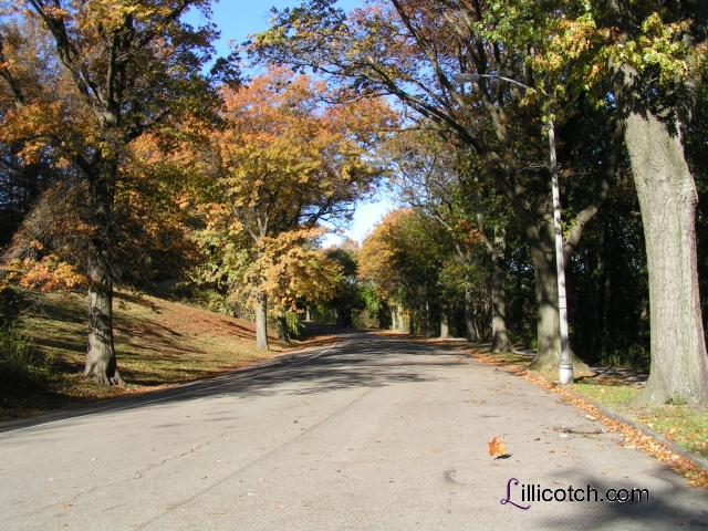 Highland Park