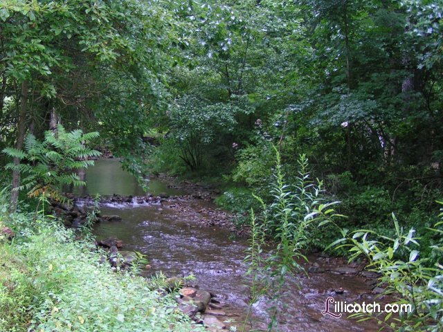 Country Stream