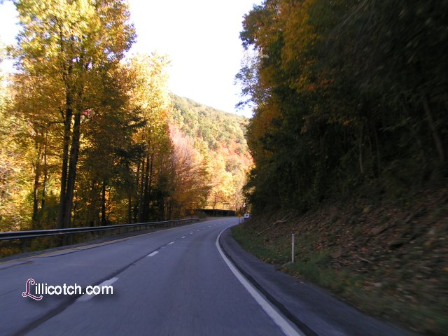 PA Laurel Highlands