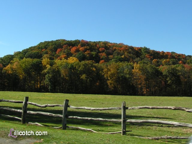 PA Laurel Highlands