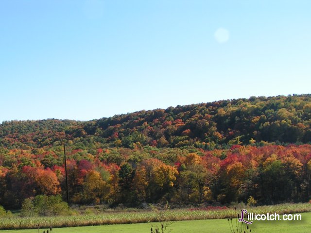PA Laurel Highlands