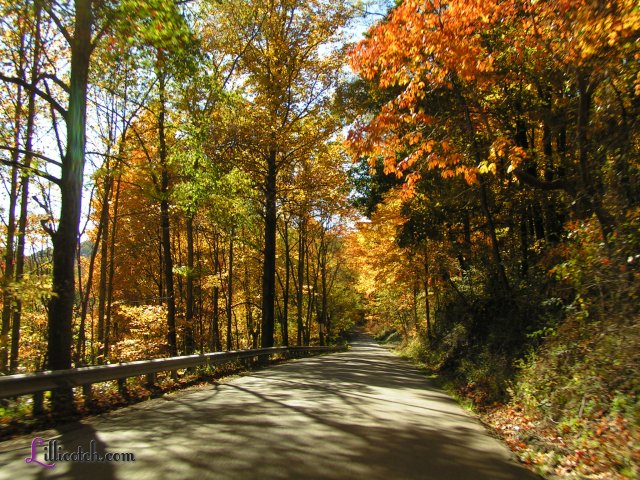 PA Laurel Highlands