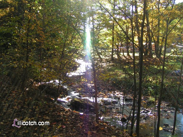 PA Laurel Highlands