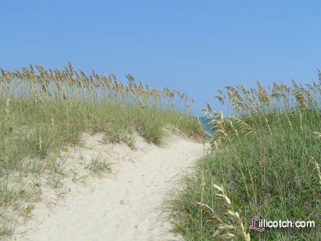 2008 Cape Hatteras Vacation