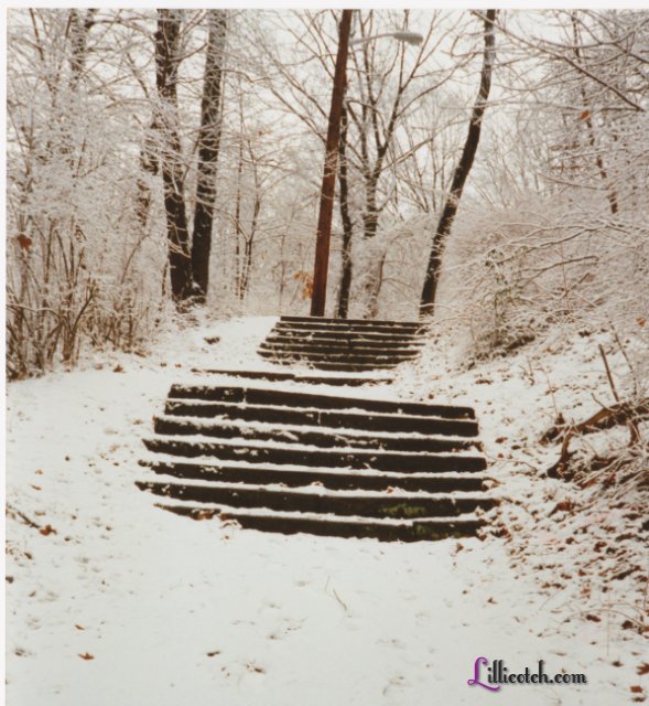 Highland Park Snow