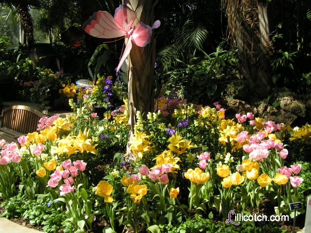 2009 Spring Flower Show