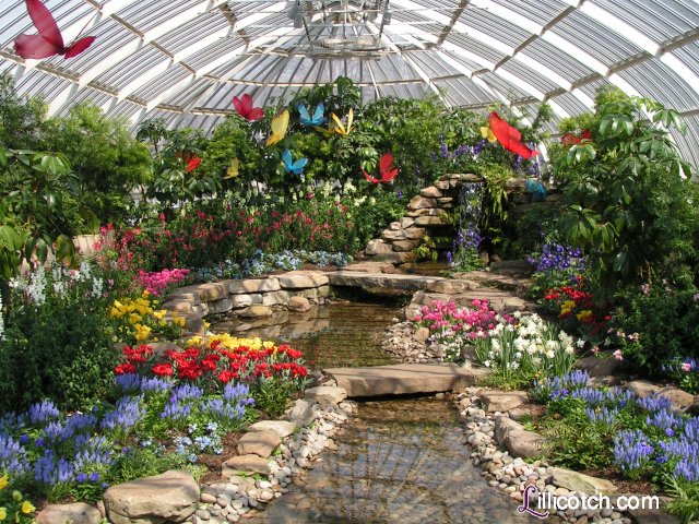2009 Spring Flower Show
