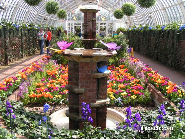 2009 Spring Flower Show