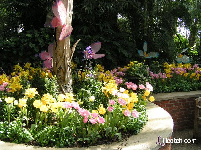 2009 Spring Flower Show