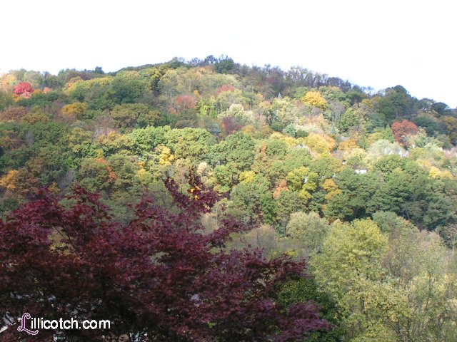 The fall in Western PA 