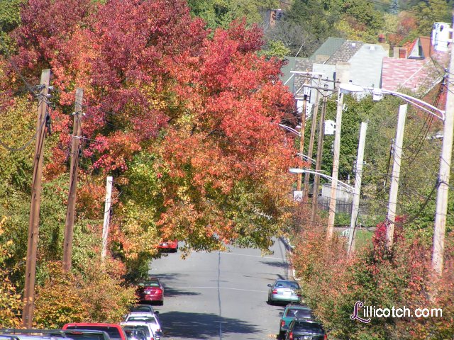 The fall in Western PA 